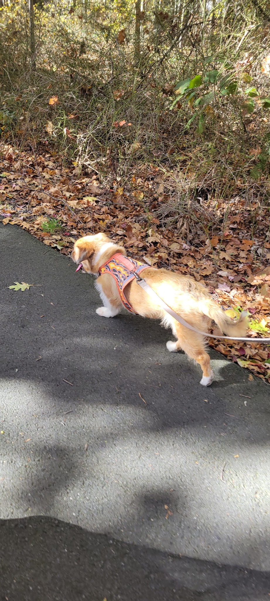 Sarah Bratty Park - Archbald, PA