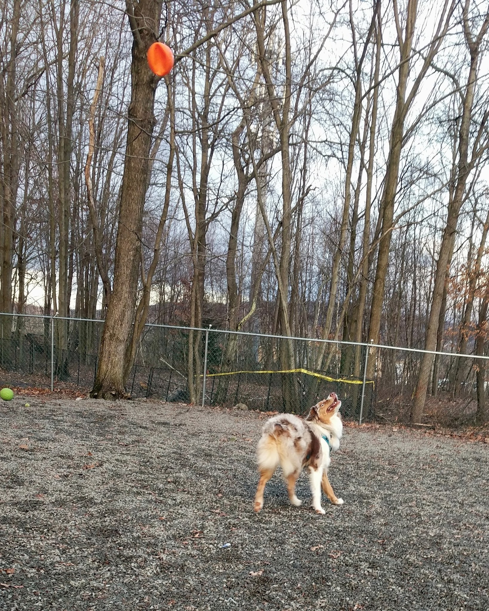 Archbald Sports Complex - Archbald, PA