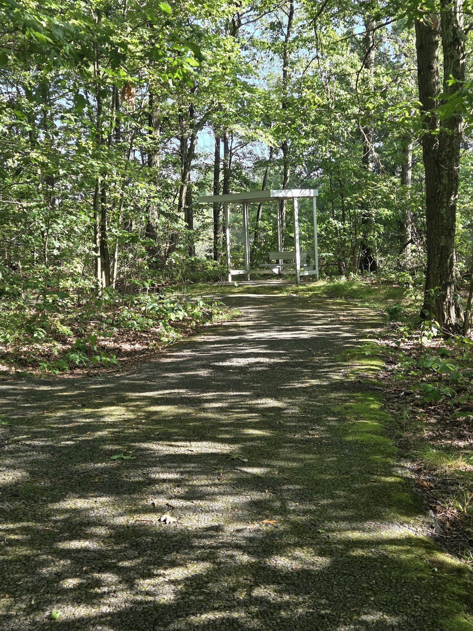 Ed Staback Memorial Park - Archbald, PA