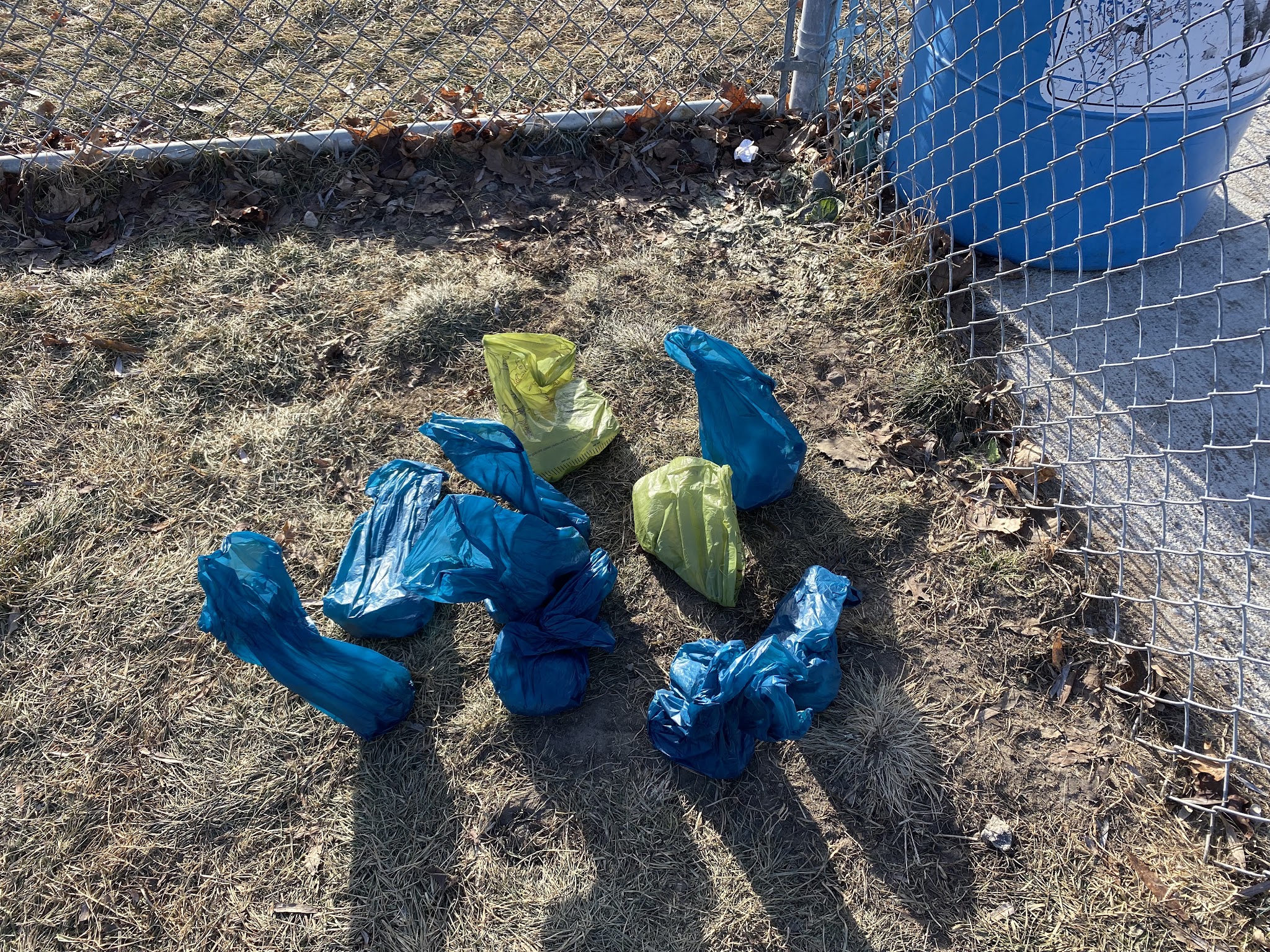 Perry Dog Park - Arden Hills, MN