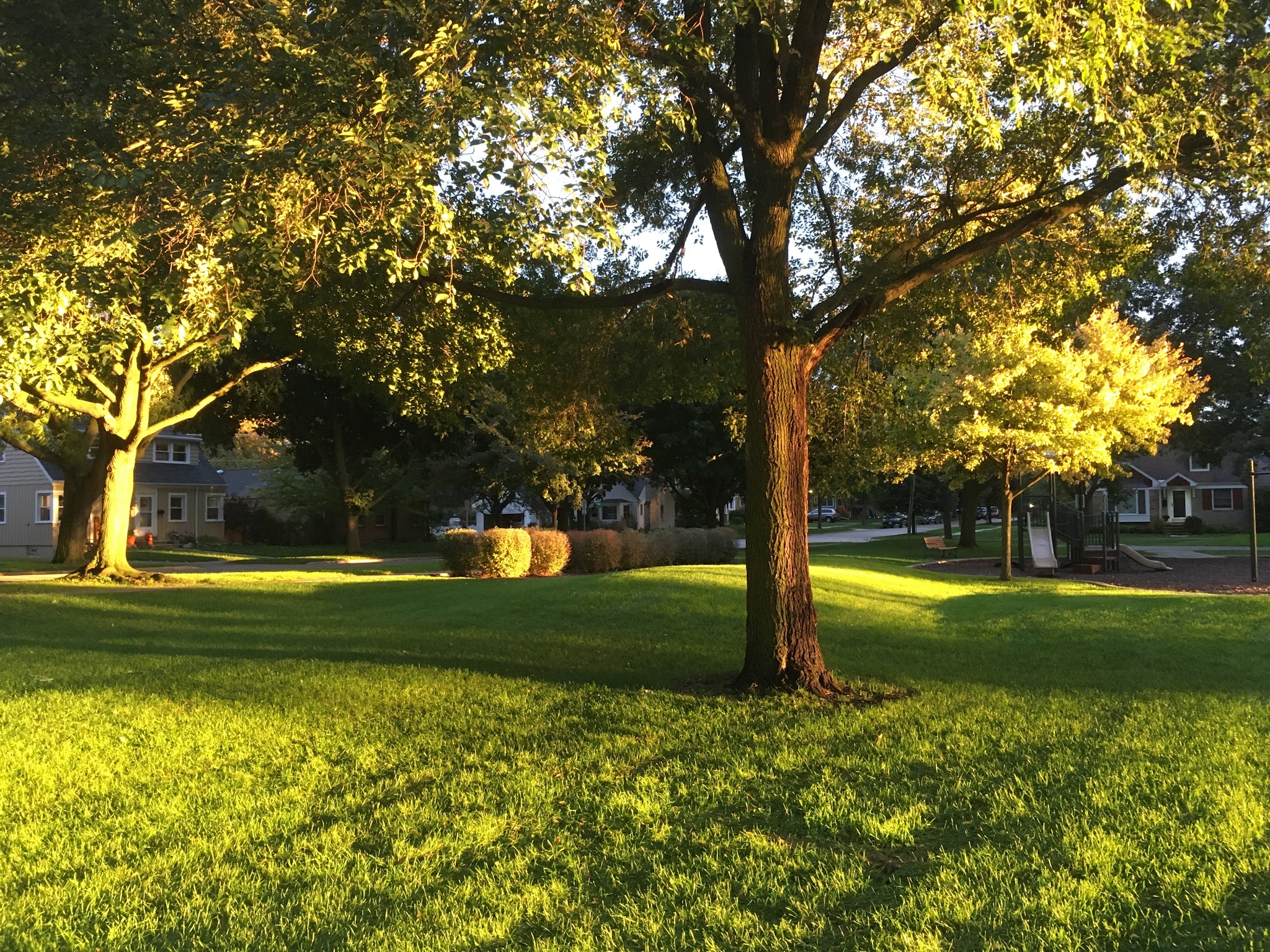 Cronin Park - Arlington Heights, IL