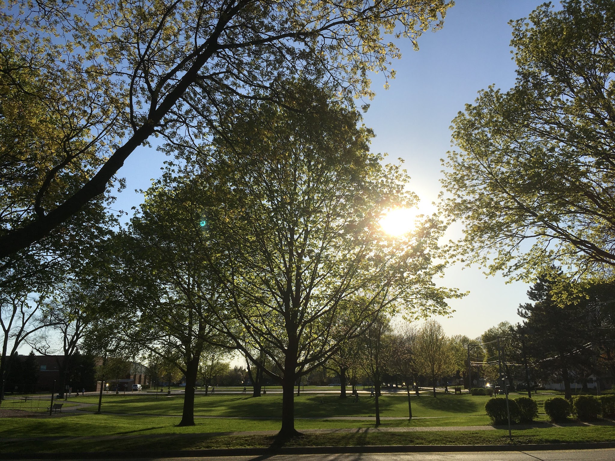 Cronin Park - Arlington Heights, IL