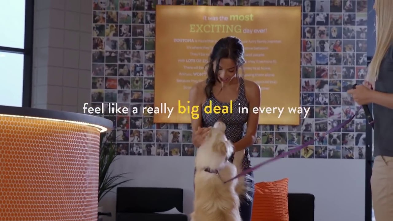 Dogtopia of Arlington Heights - Arlington Heights, IL