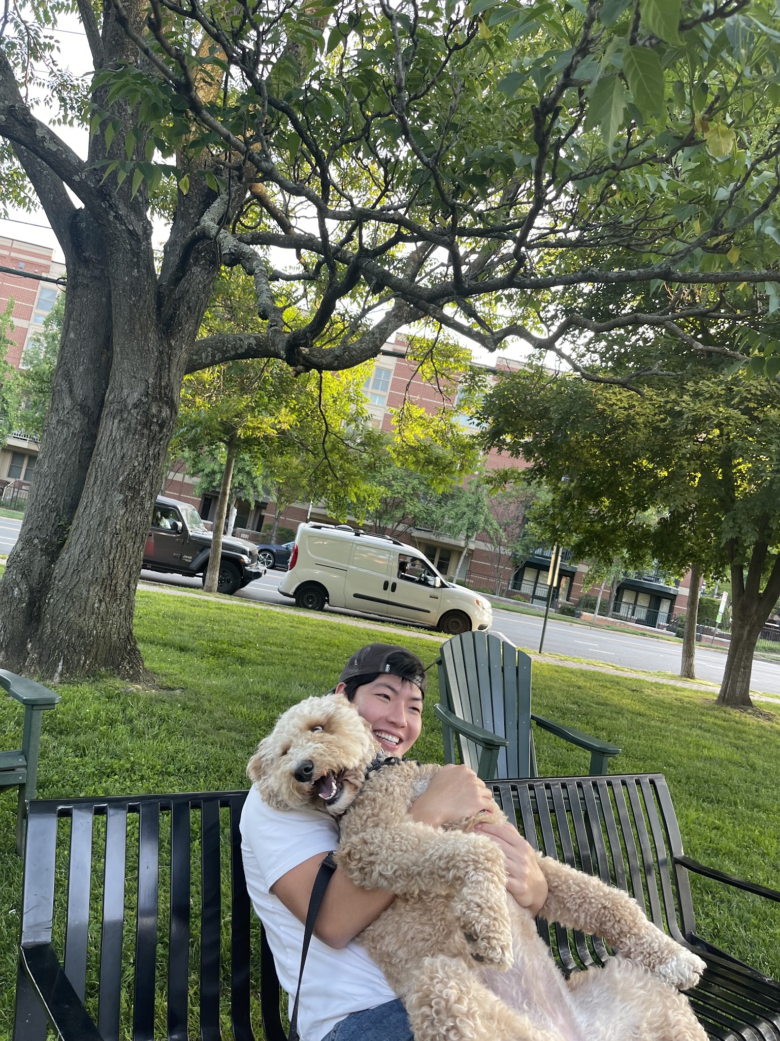 Rhodeside Green Park - Arlington, VA