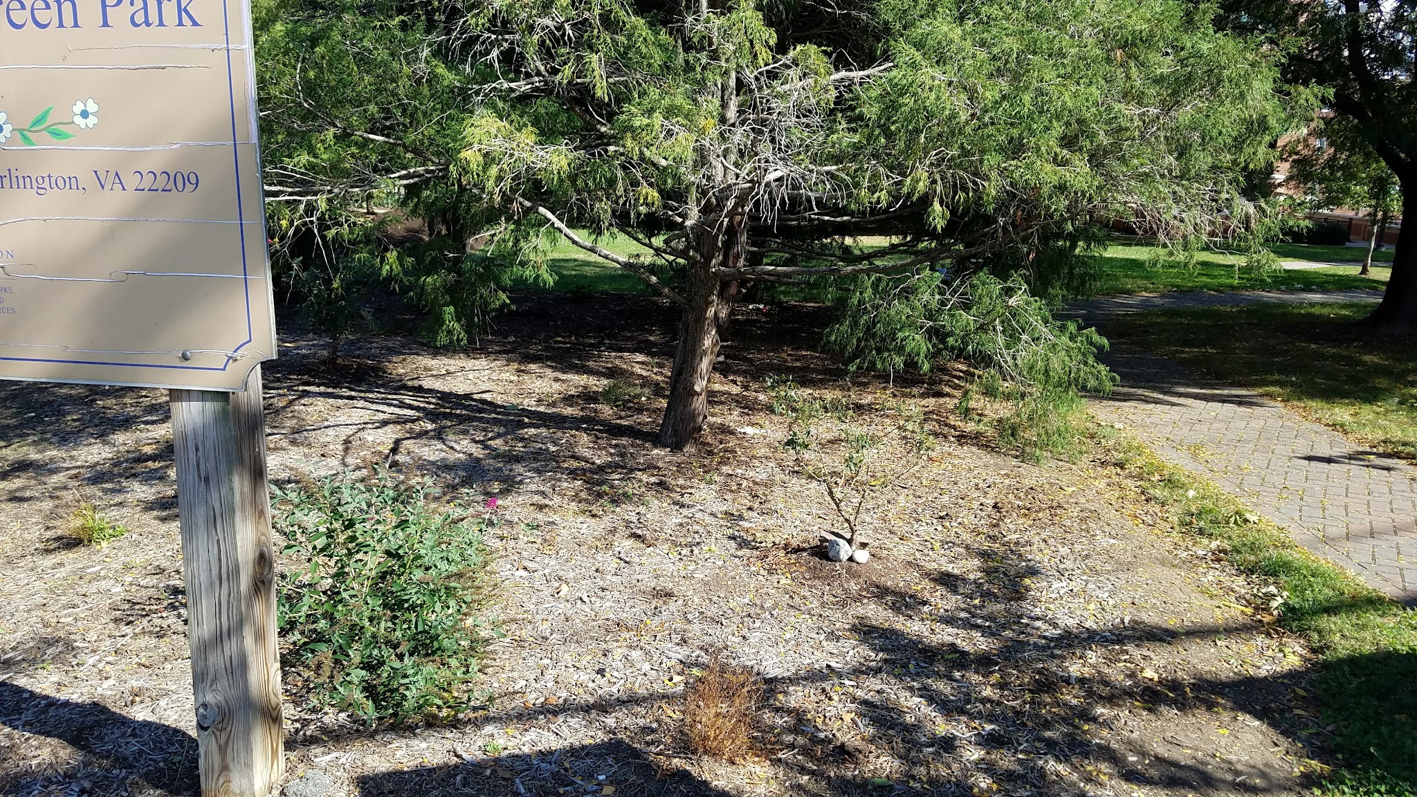 Rhodeside Green Park - Arlington, VA