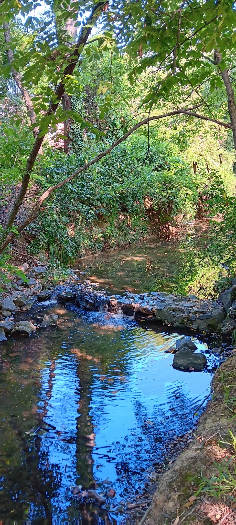 Woodlawn Park - Arlington, VA