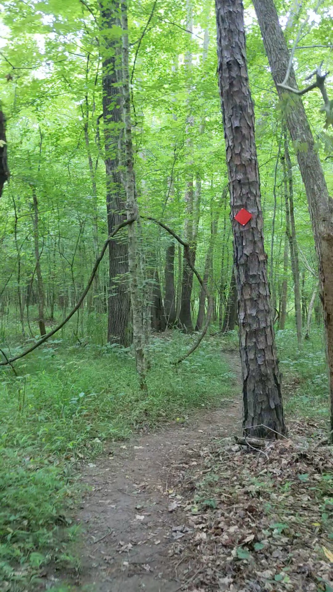 Caraway Creek Preserve - Asheboro, NC