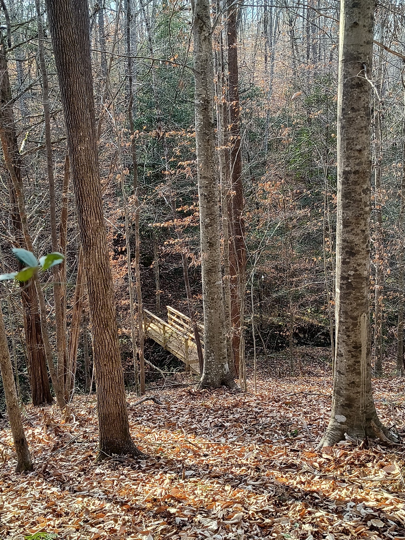 Caraway Creek Preserve - Asheboro, NC