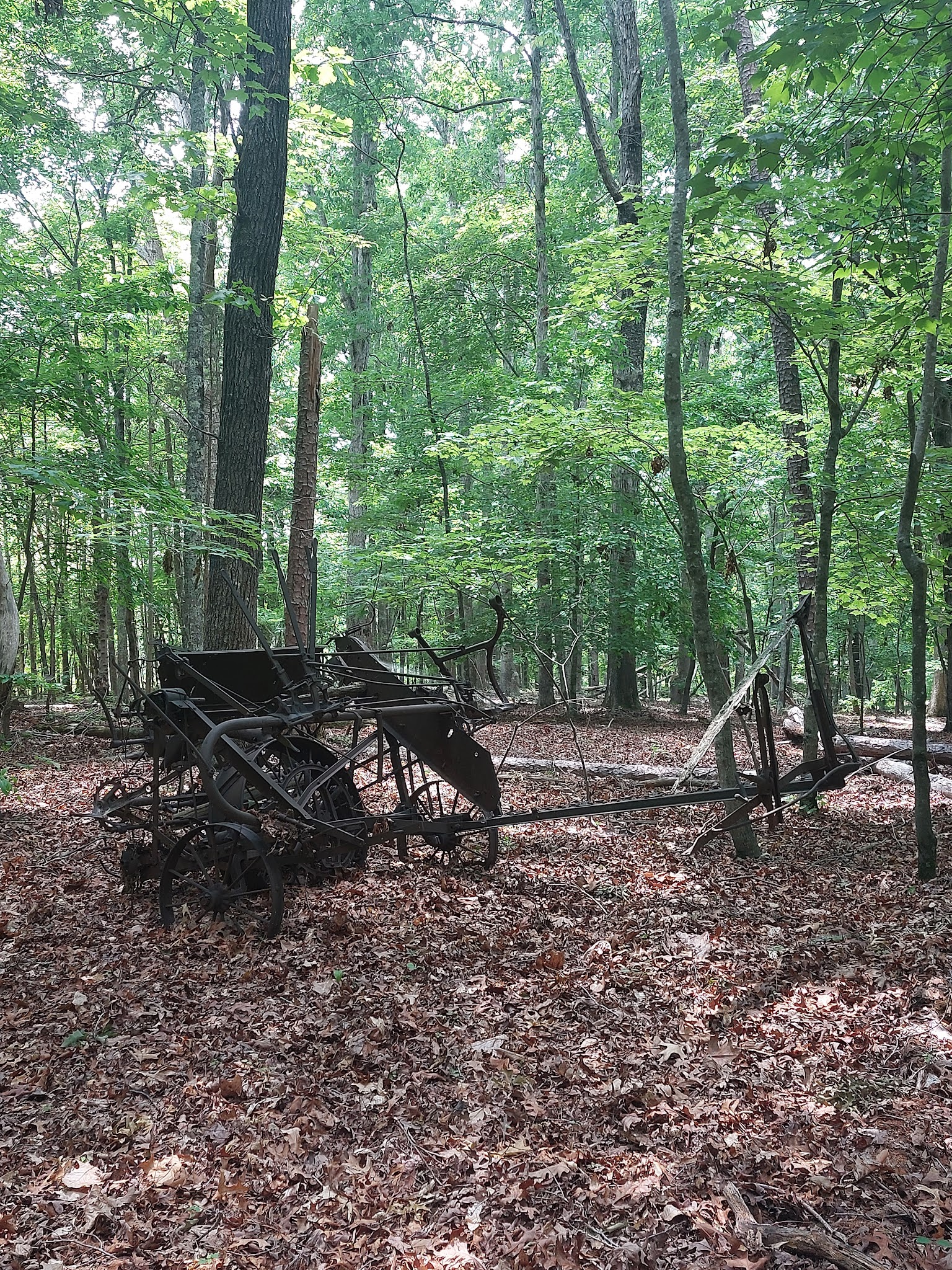 Caraway Creek Preserve - Asheboro, NC