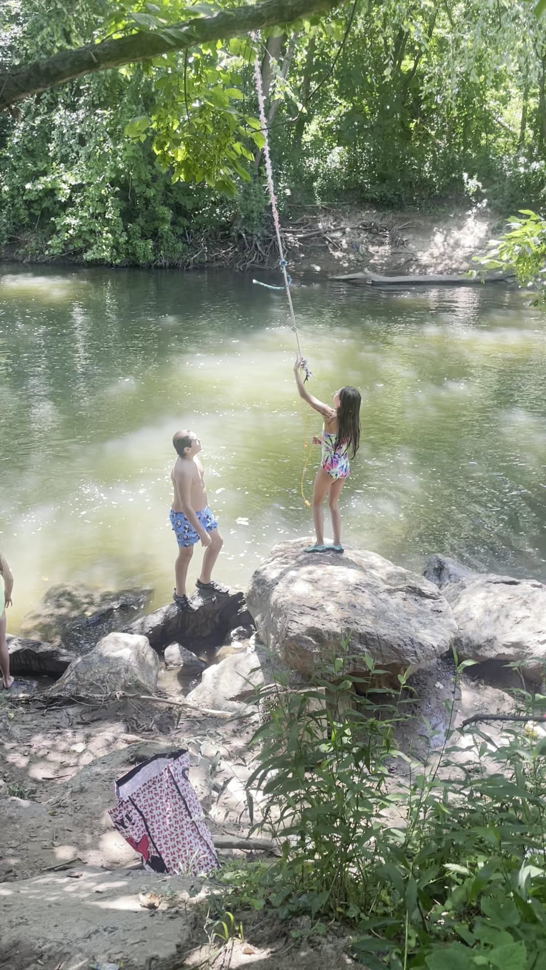 Azalea Park - Asheville, NC