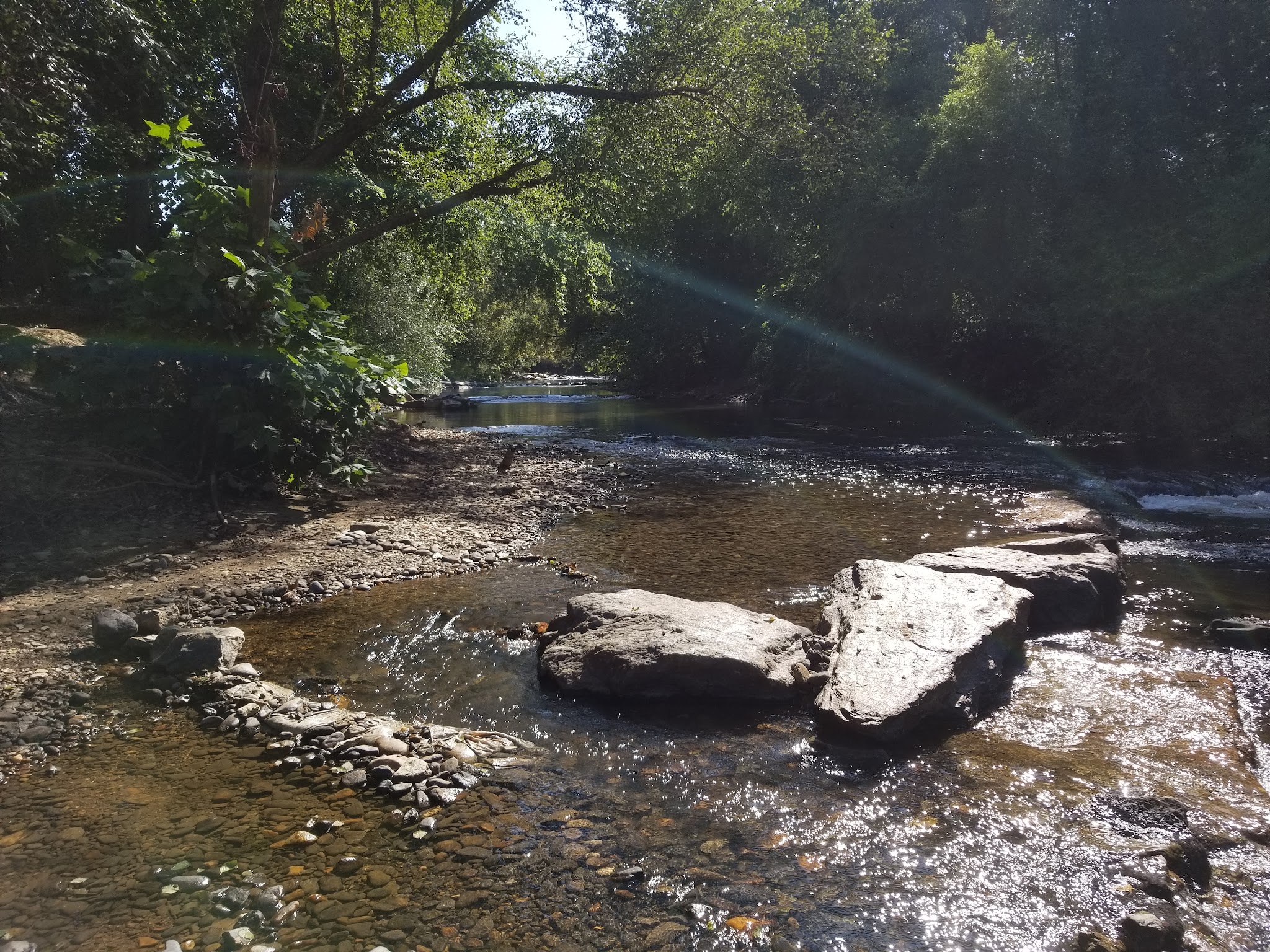 Azalea Park - Asheville, NC