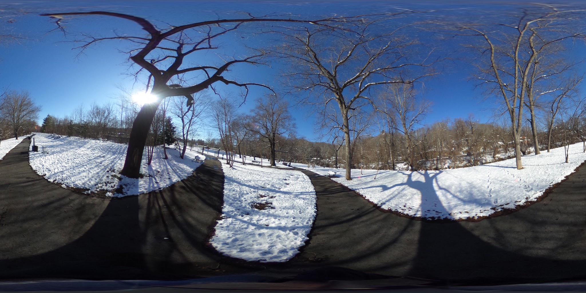 Dog Walk Park - Asheville, NC