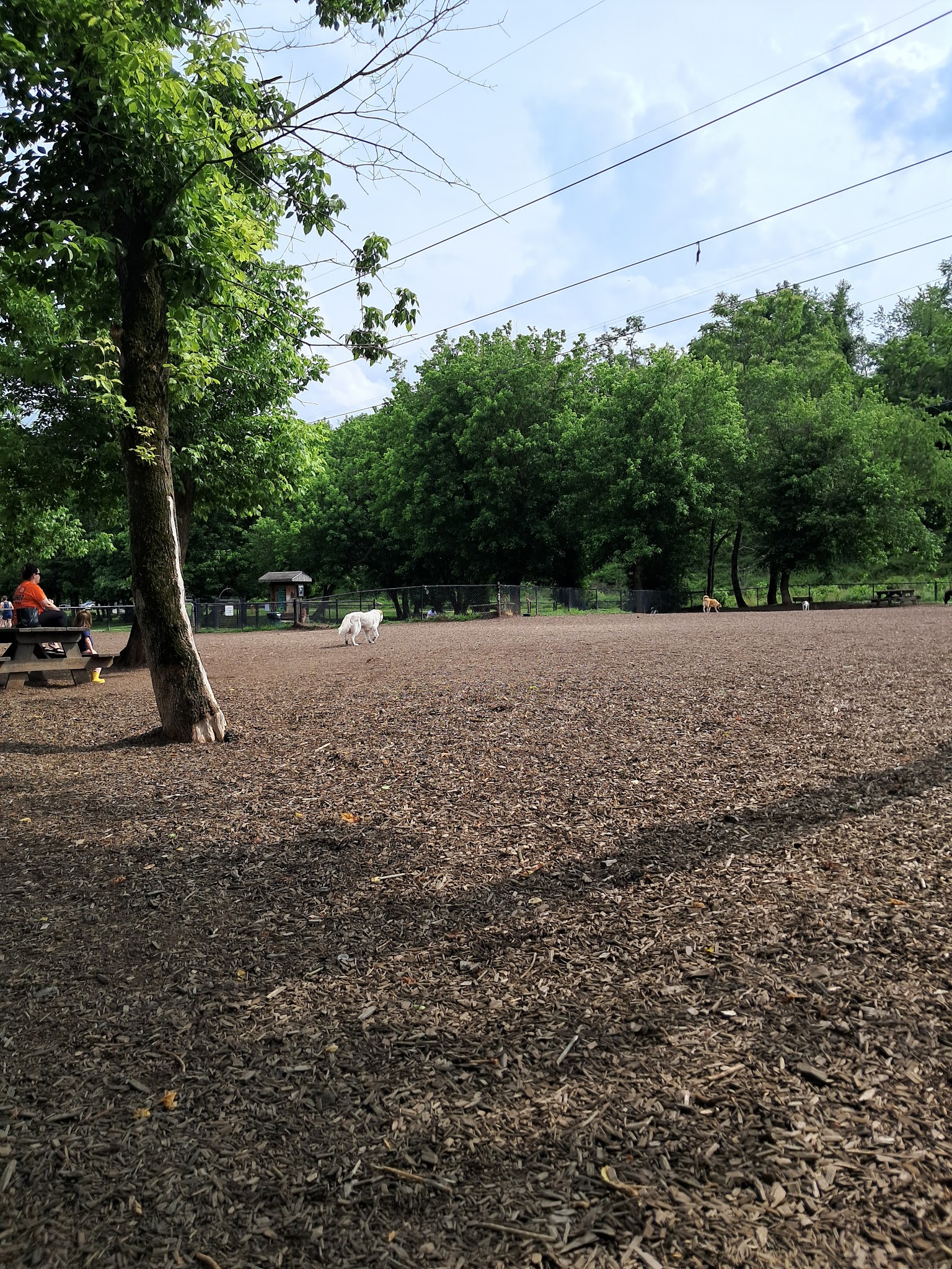 French Broad River Dog Park - Asheville, NC