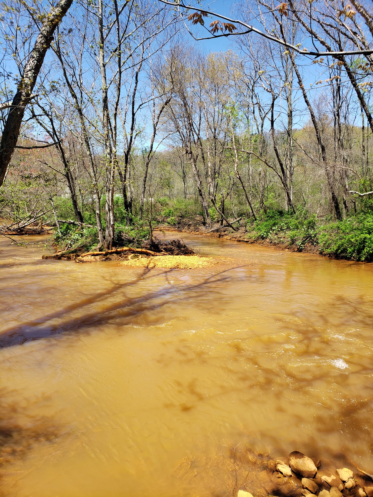 Bolich Wetland Project And Senator James J. Rhodes Nature Trail - Ashland, PA