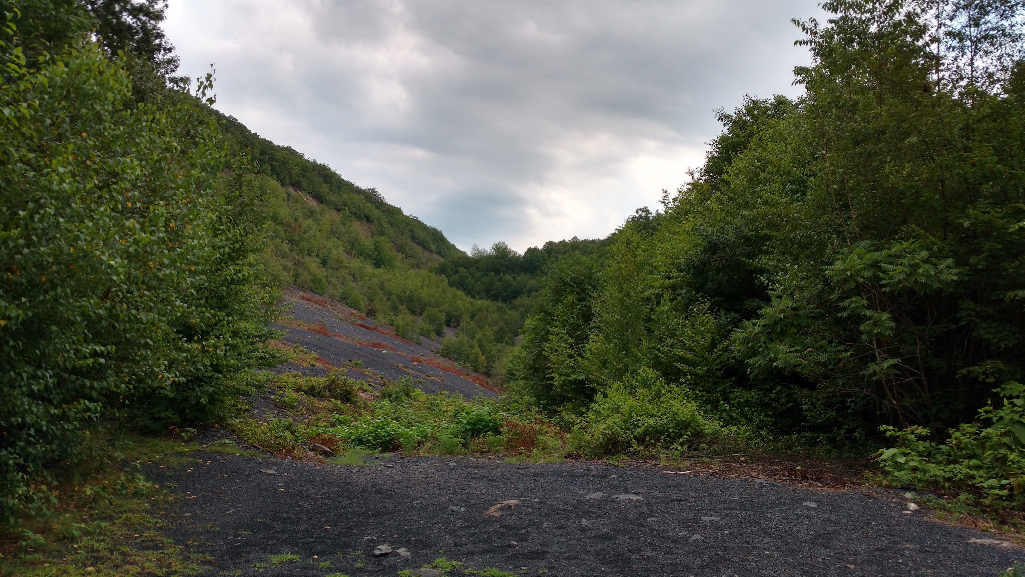 Willow Park - Ashland, PA