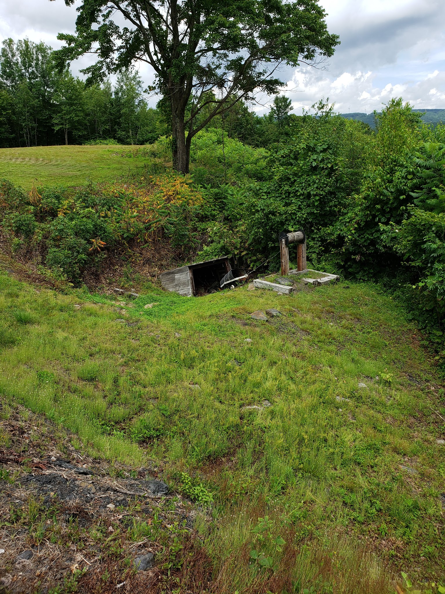 Willow Park - Ashland, PA