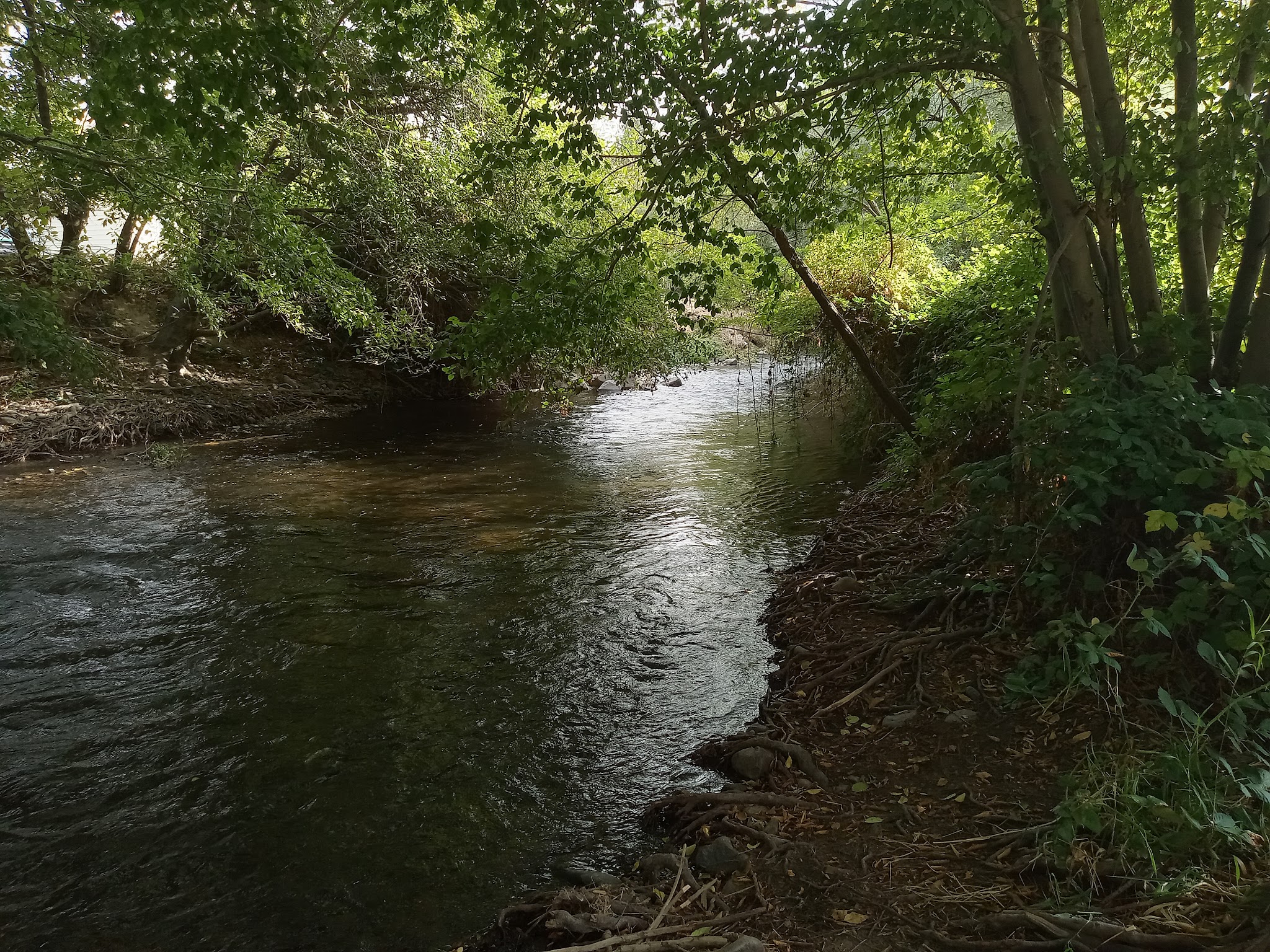 Asotin City Park - Asotin, WA