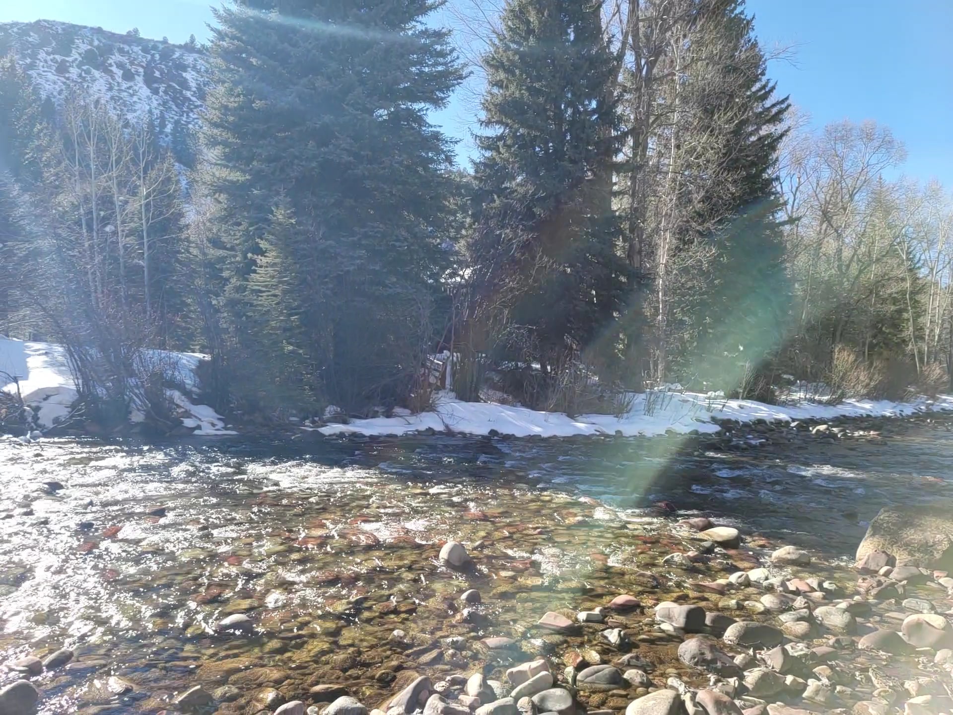 Henry Stein Park - Aspen, CO
