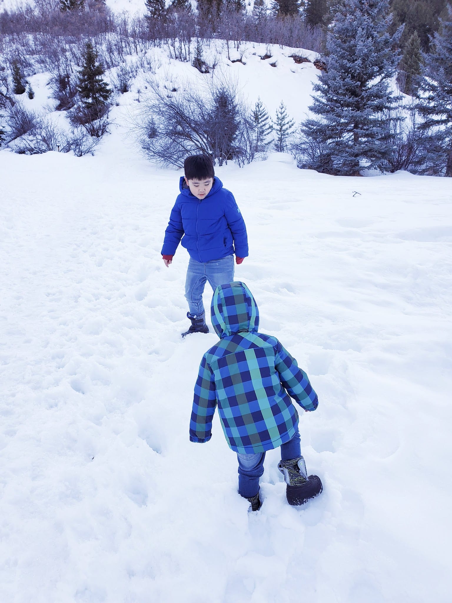 Koch Park - Aspen, CO