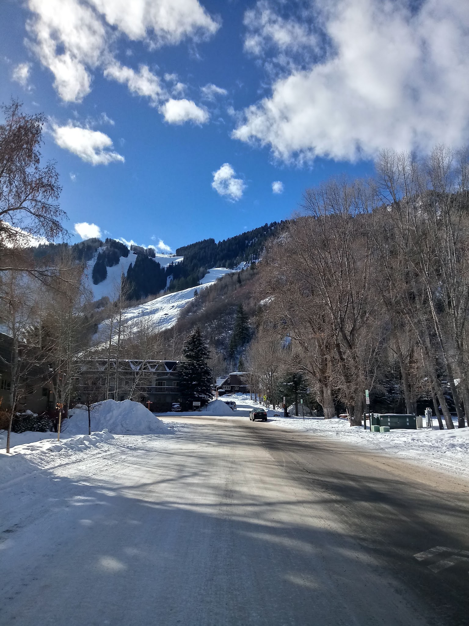 Koch Park - Aspen, CO