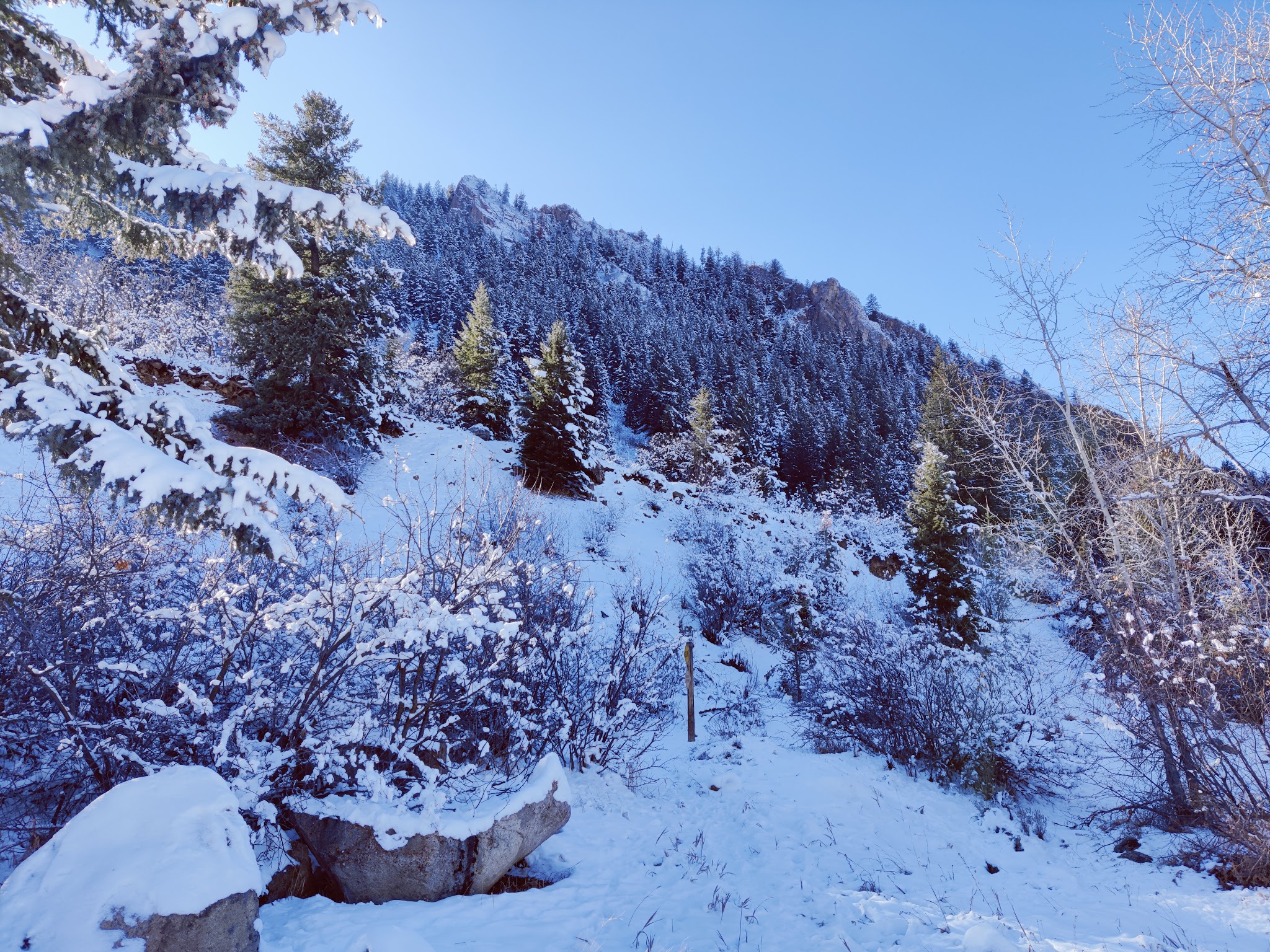 Koch Park - Aspen, CO