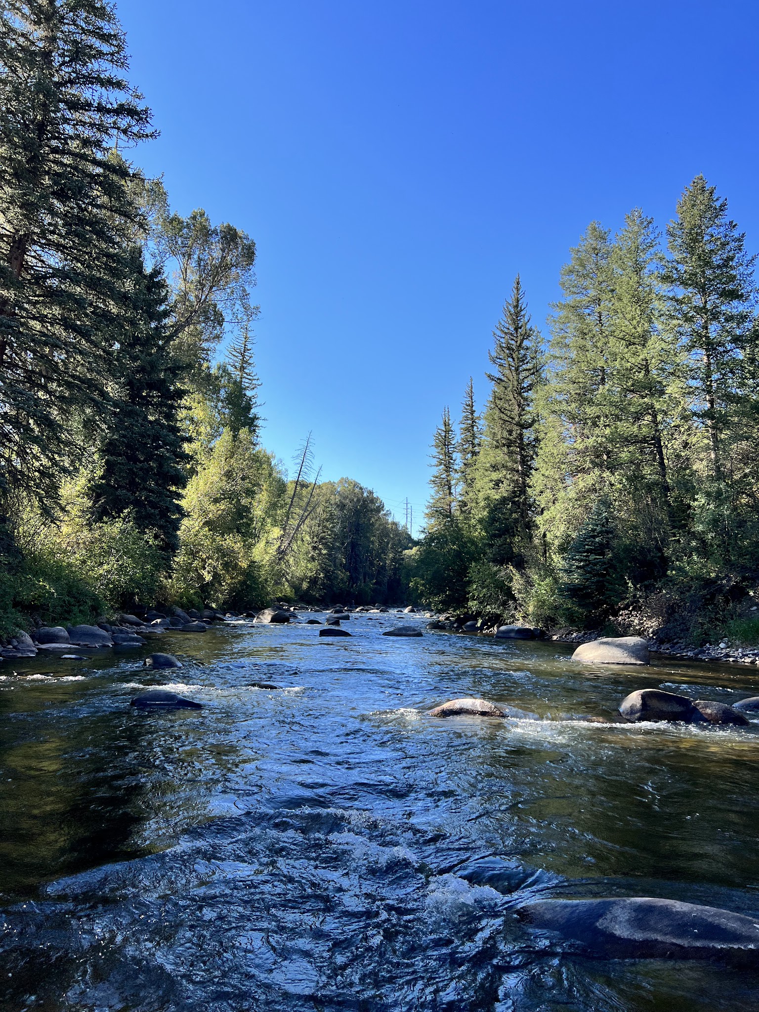 Wilton Jaffee Sr. Park - Aspen, CO