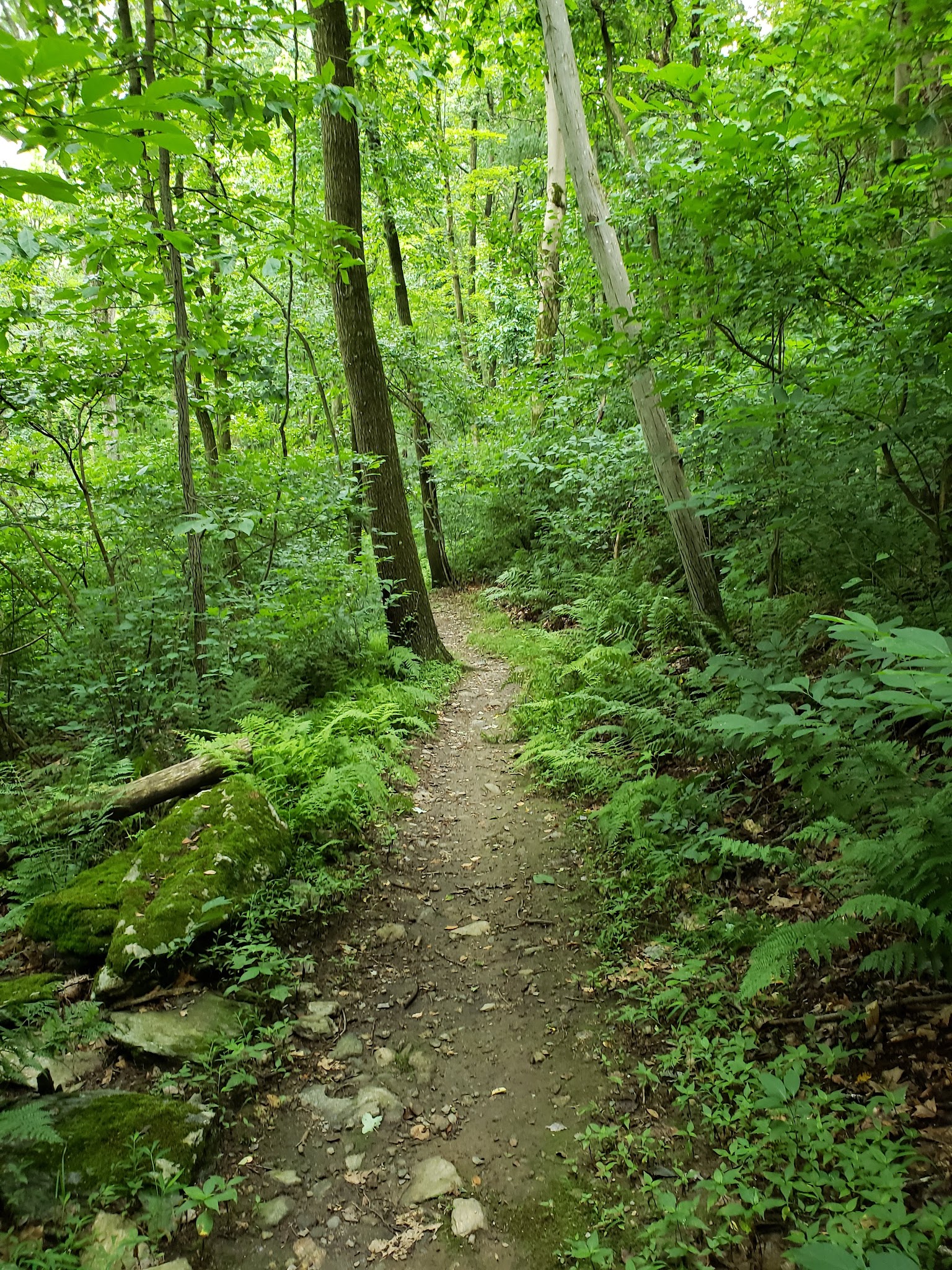 Wolf's Hollow County Park - Atglen, PA