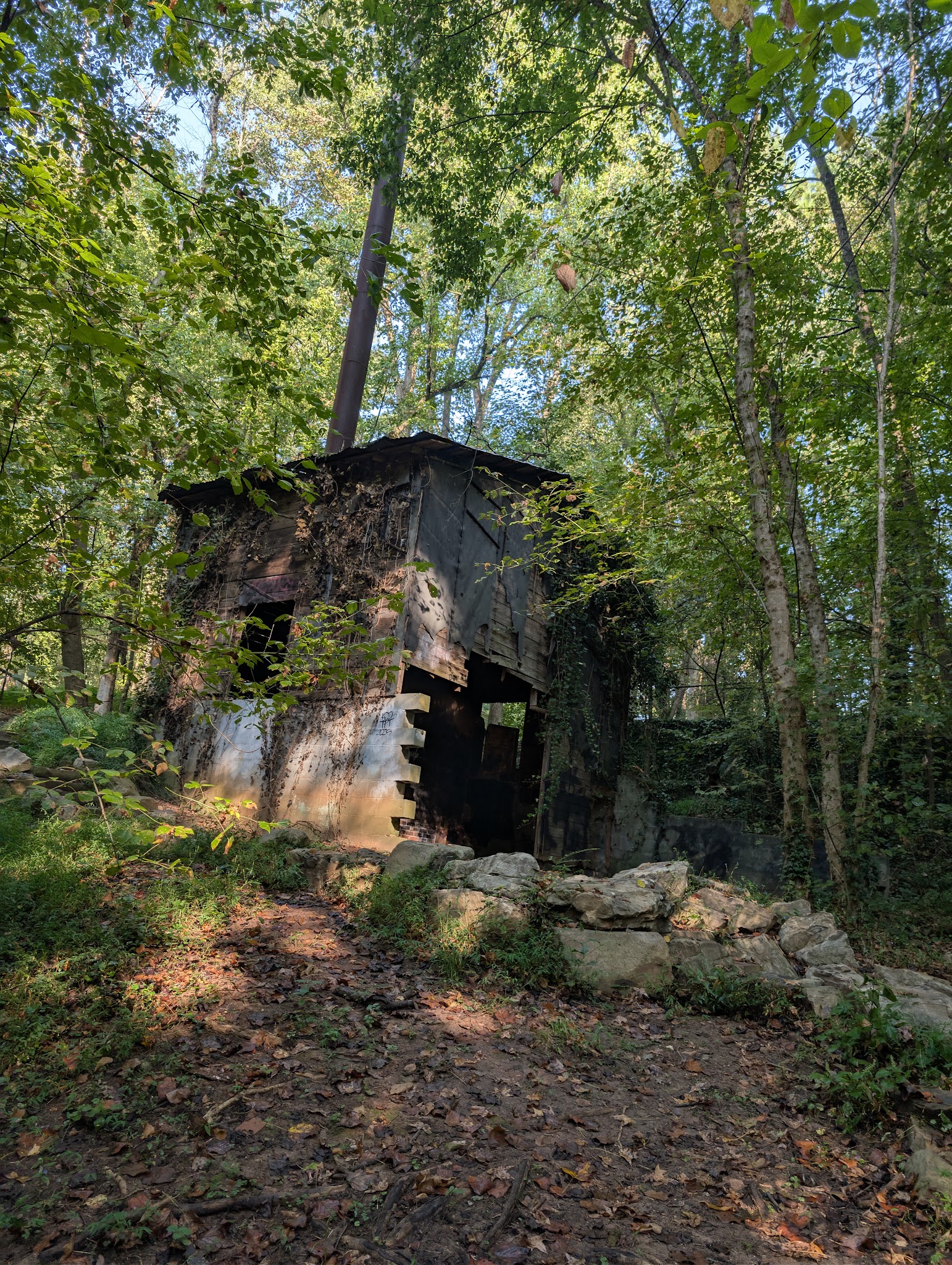 Cascade Springs Nature Preserve - Atlanta, GA