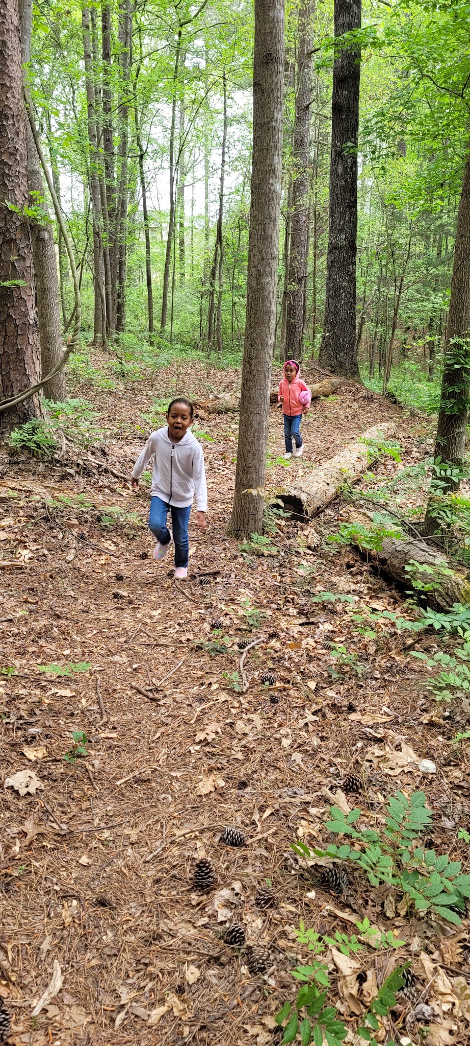 Deerwood Park - Atlanta, GA