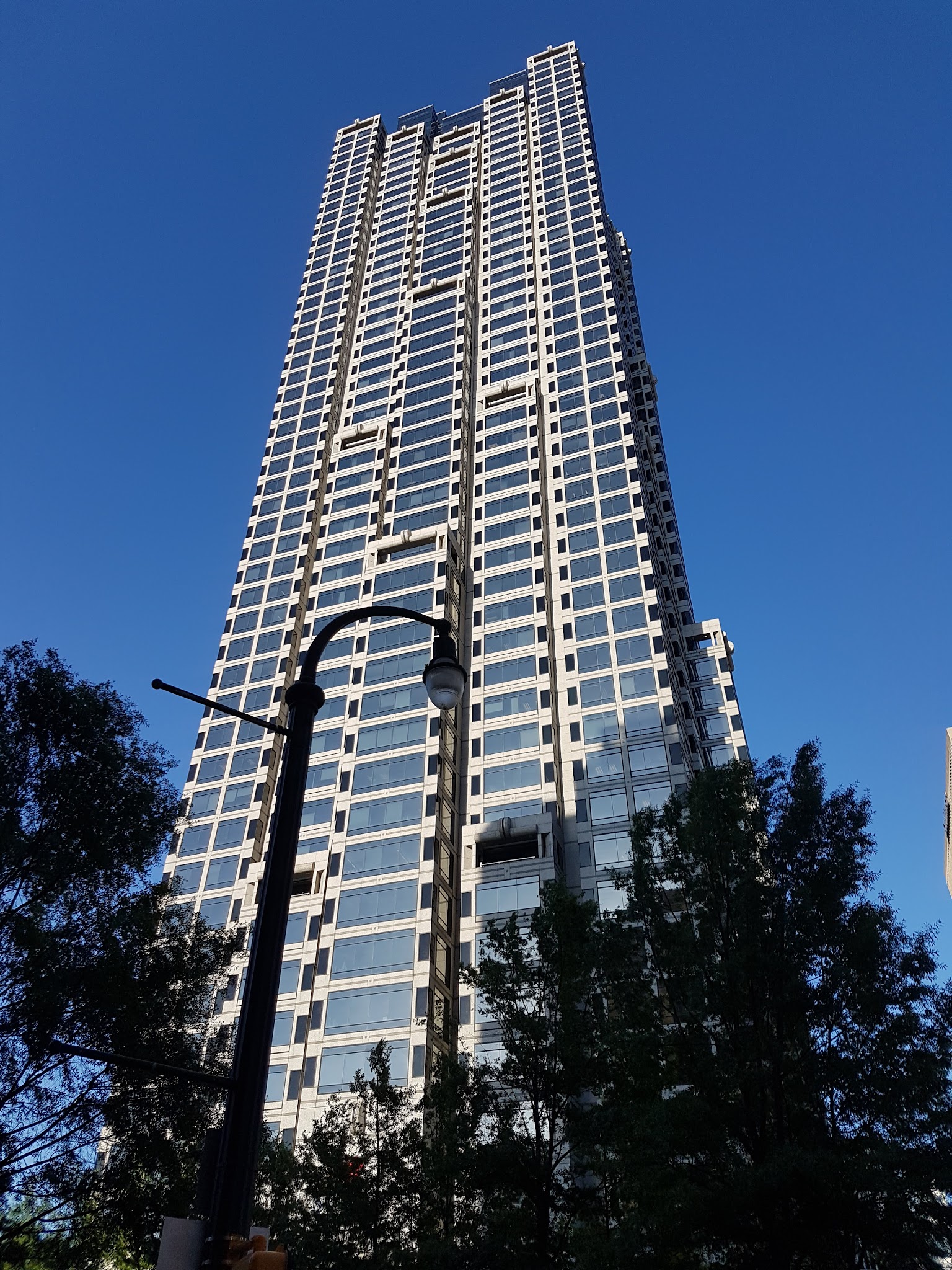 Hardy Ivy Park - Atlanta, GA