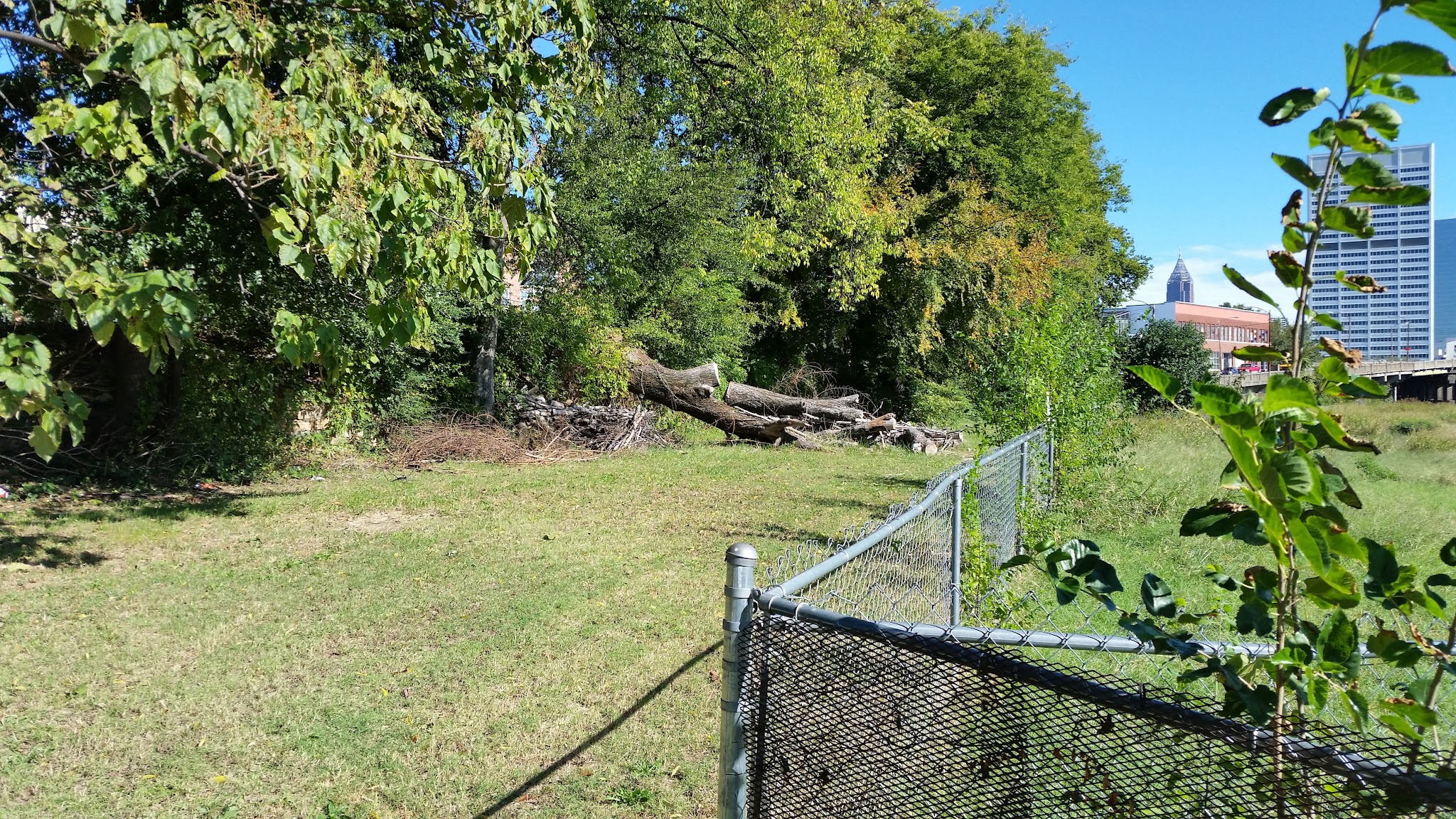 Railside Dog Park - Atlanta, GA