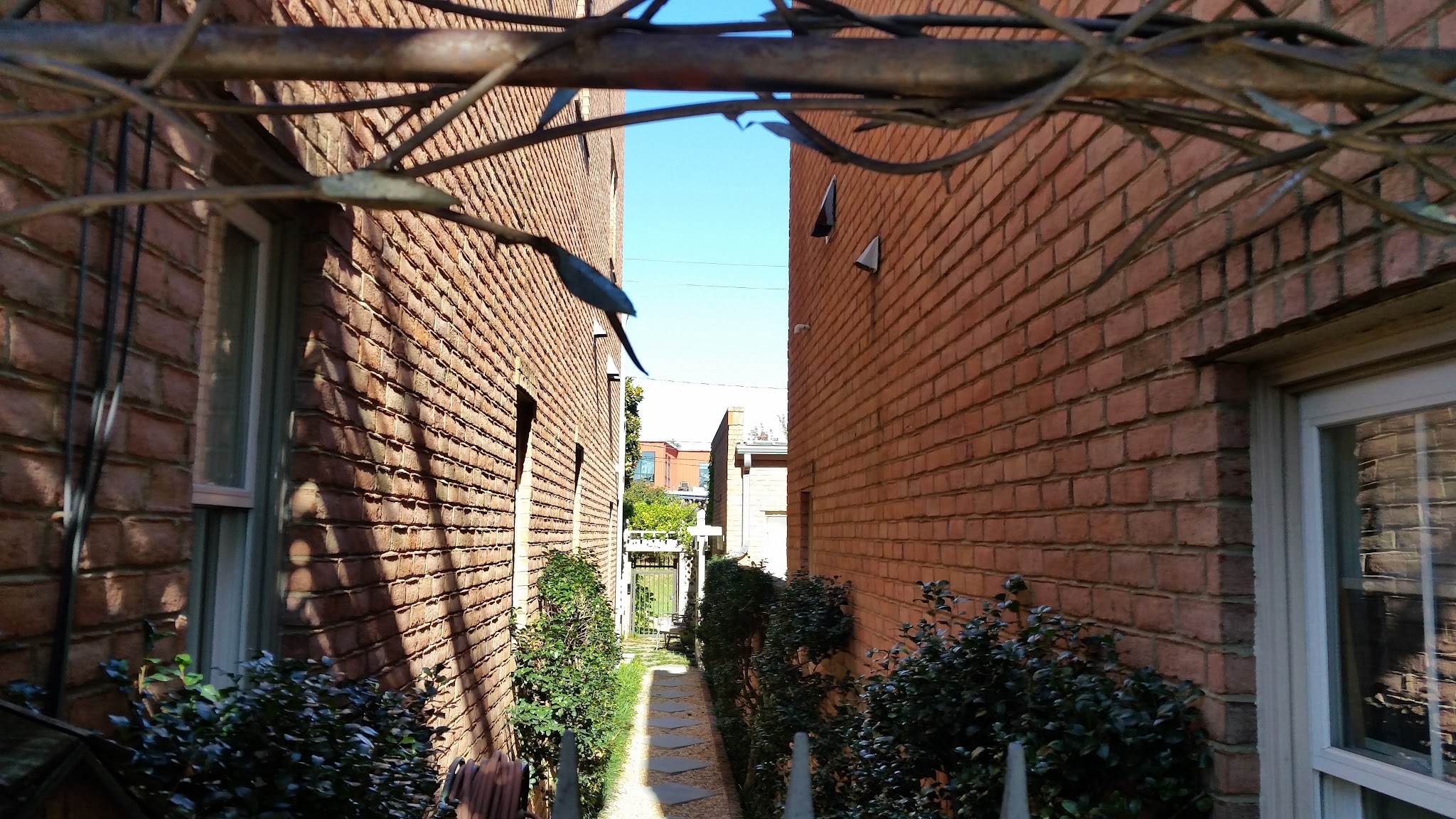 Railside Dog Park - Atlanta, GA