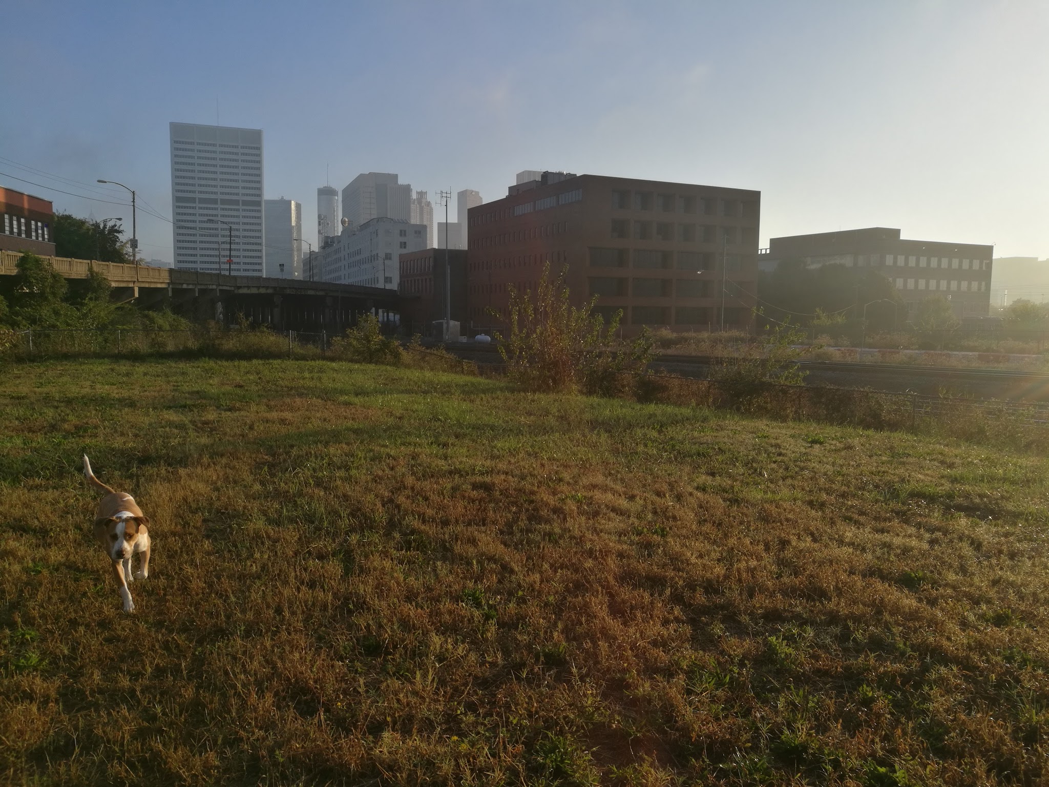 Railside Dog Park - Atlanta, GA