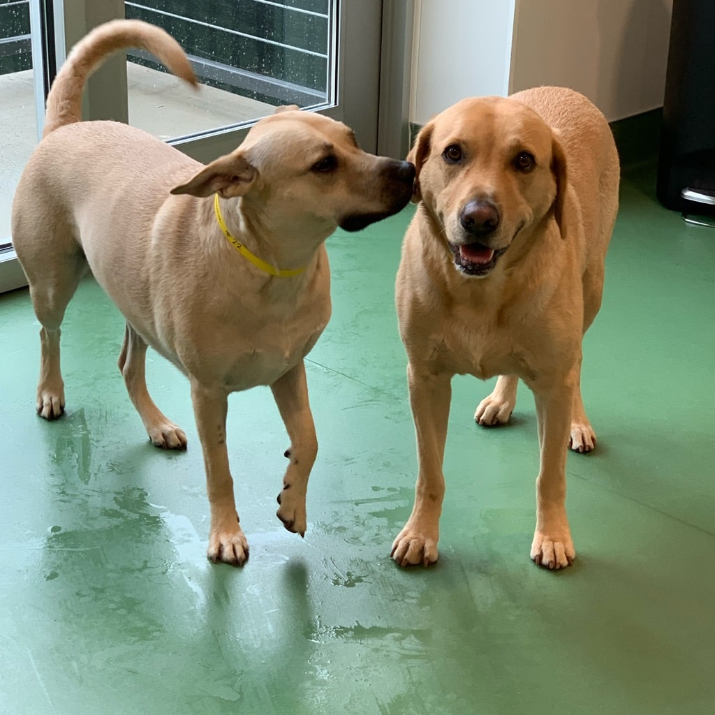 Skiptown - Atlanta, GA