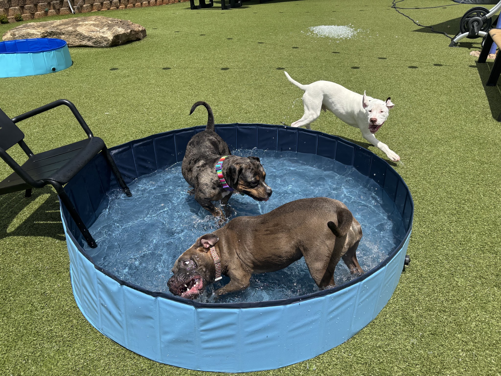 Skiptown - Atlanta, GA