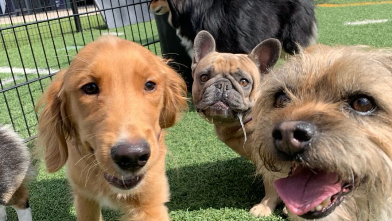 Skiptown - Atlanta, GA