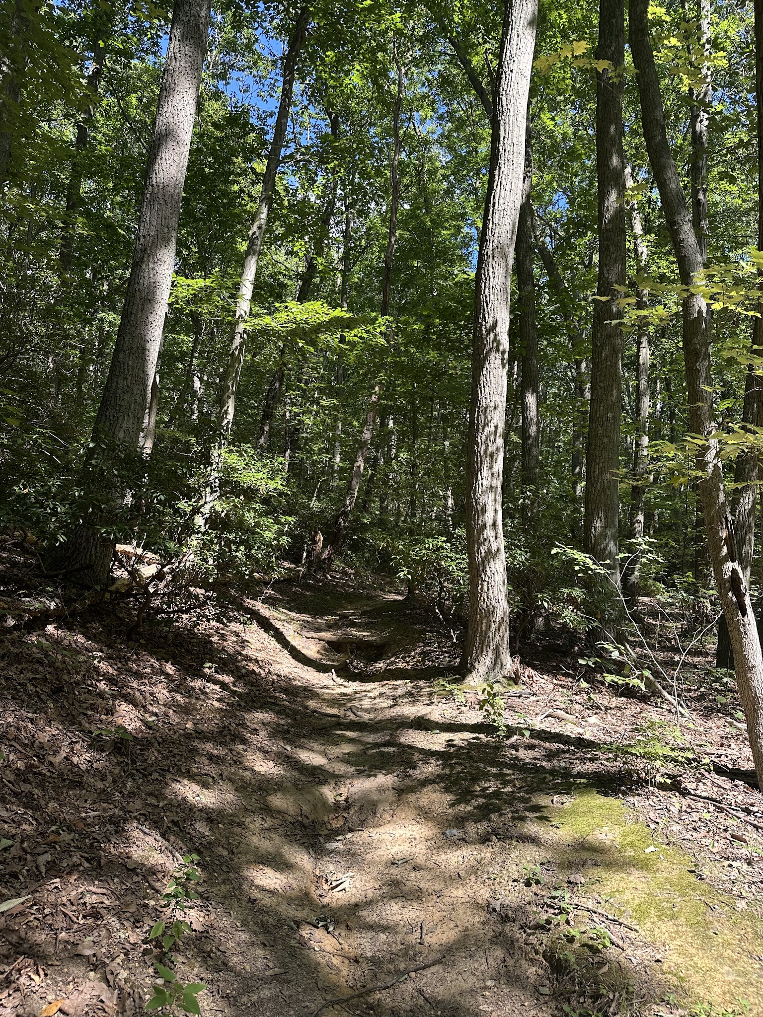Hartshorne Woods Park, Buttermilk Valley Entrance - Atlantic Highlands, NJ