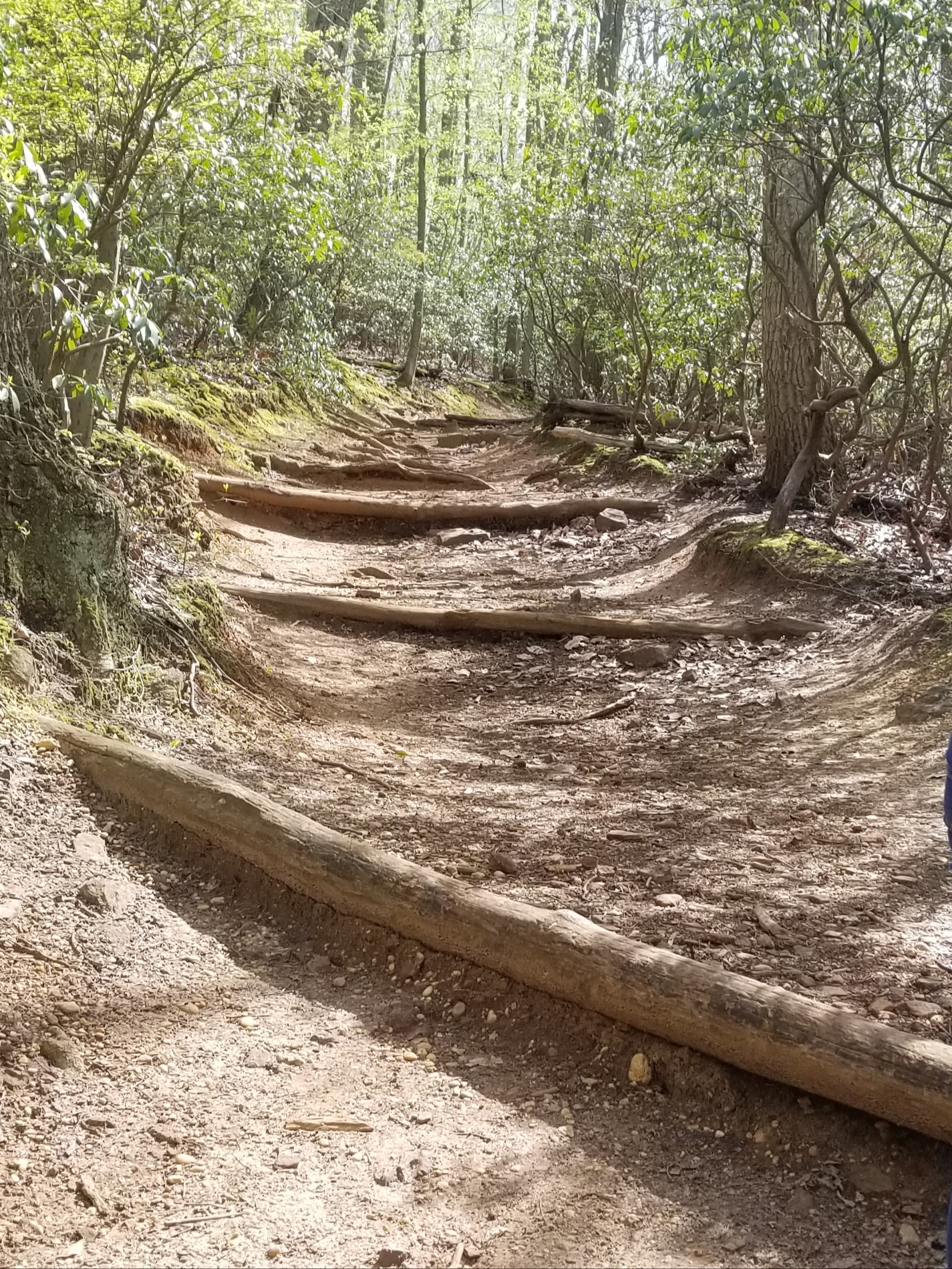Hartshorne Woods Park, Buttermilk Valley Entrance - Atlantic Highlands, NJ