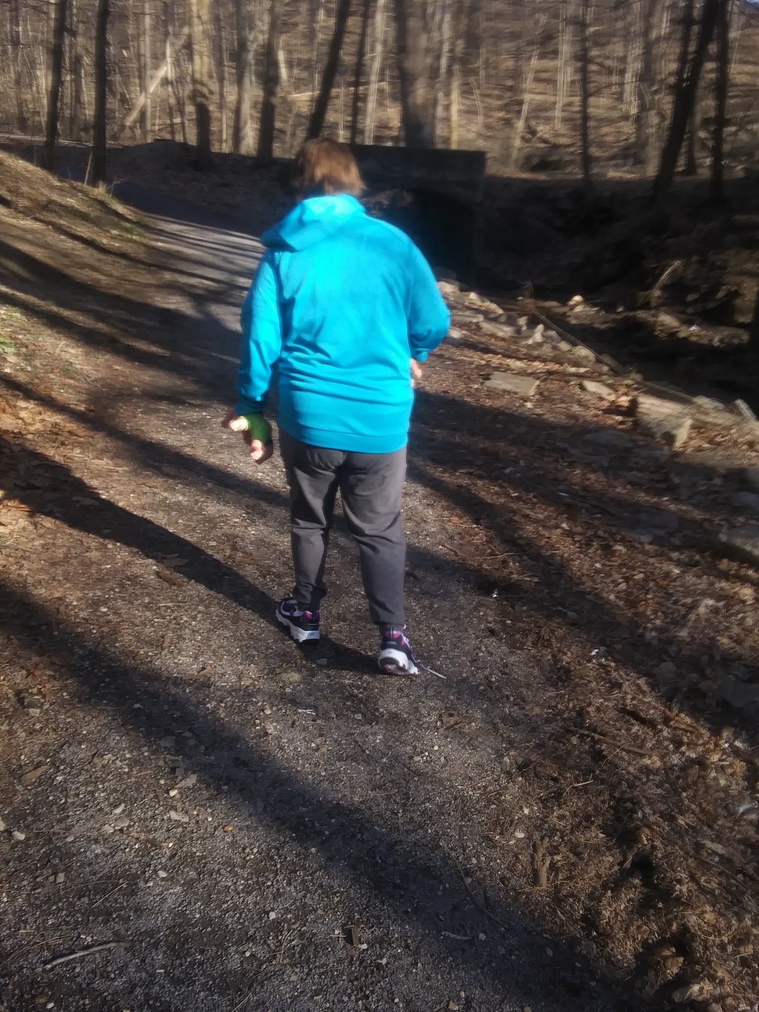 McDonald Park - Attica, IN