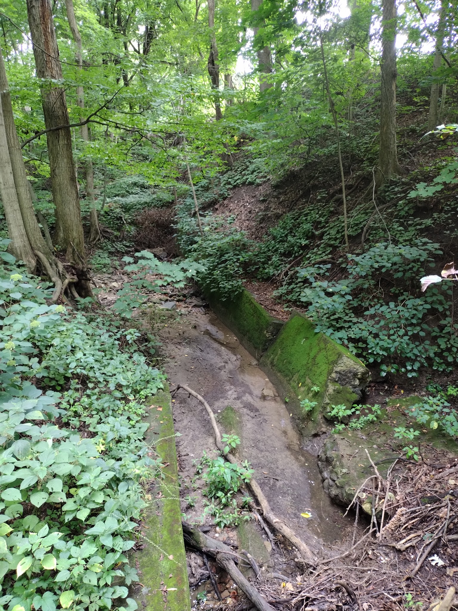 Ravine Park - Attica, IN