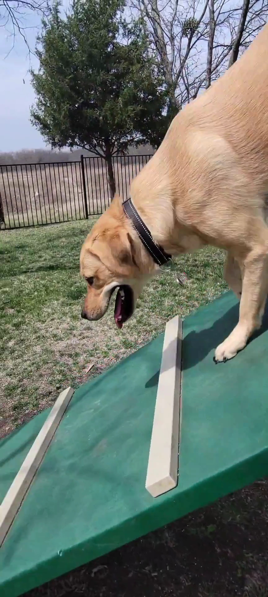 Union Park Bark Park - Aubrey, TX