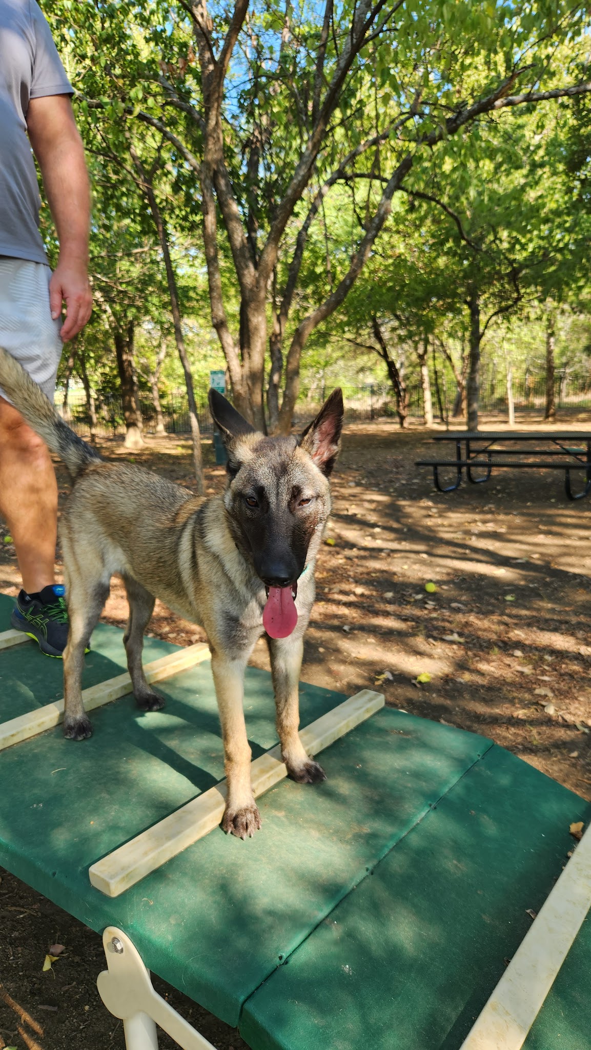 Union Park Bark Park - Aubrey, TX