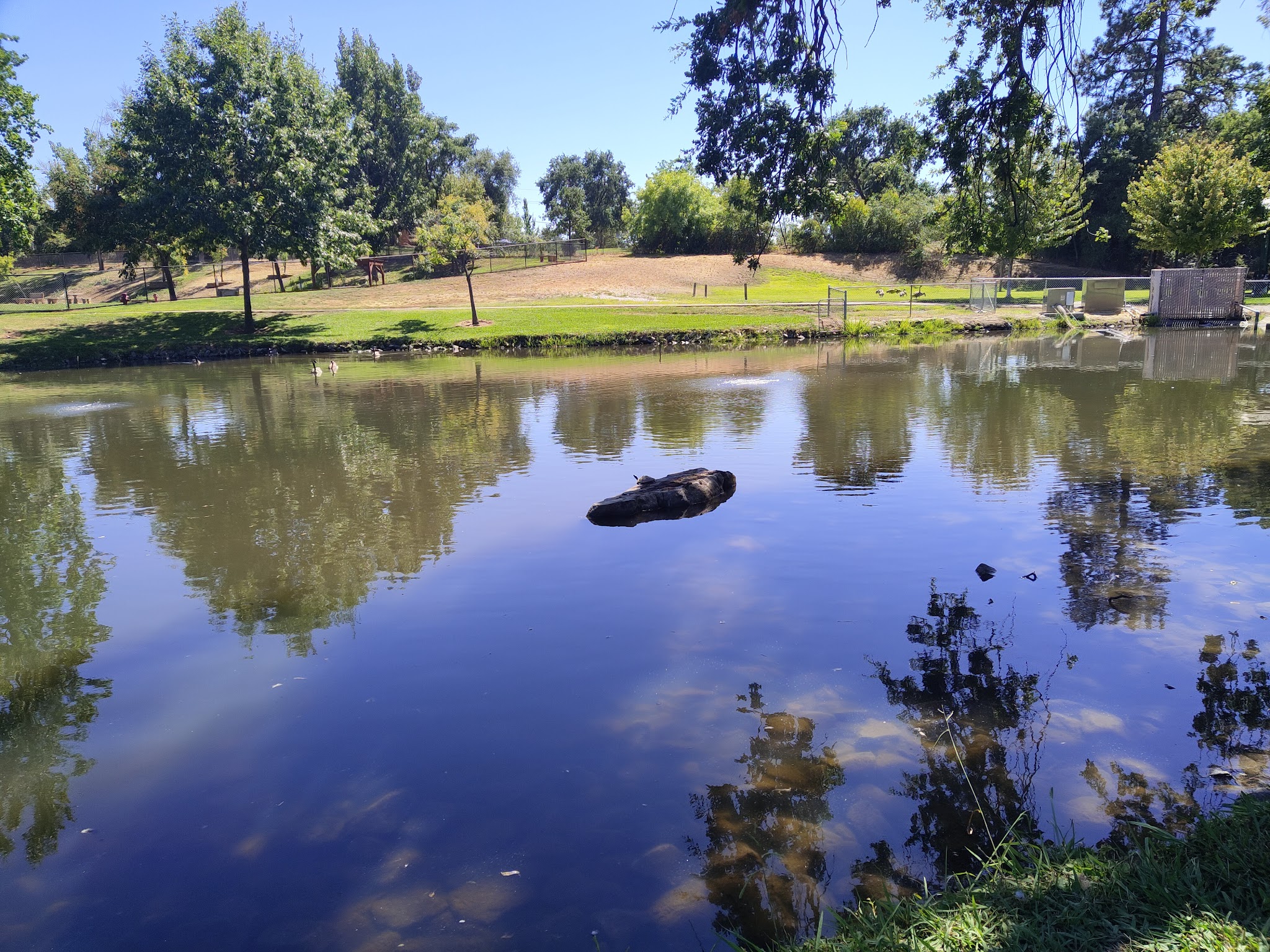 Ashley Off Leash Dog Park - Auburn, CA