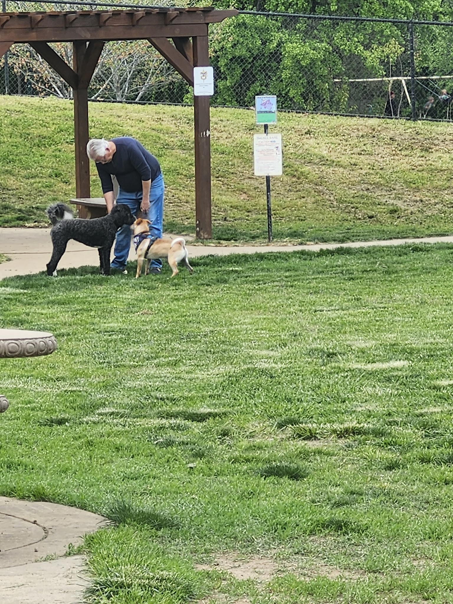 Ashley Off Leash Dog Park - Auburn, CA