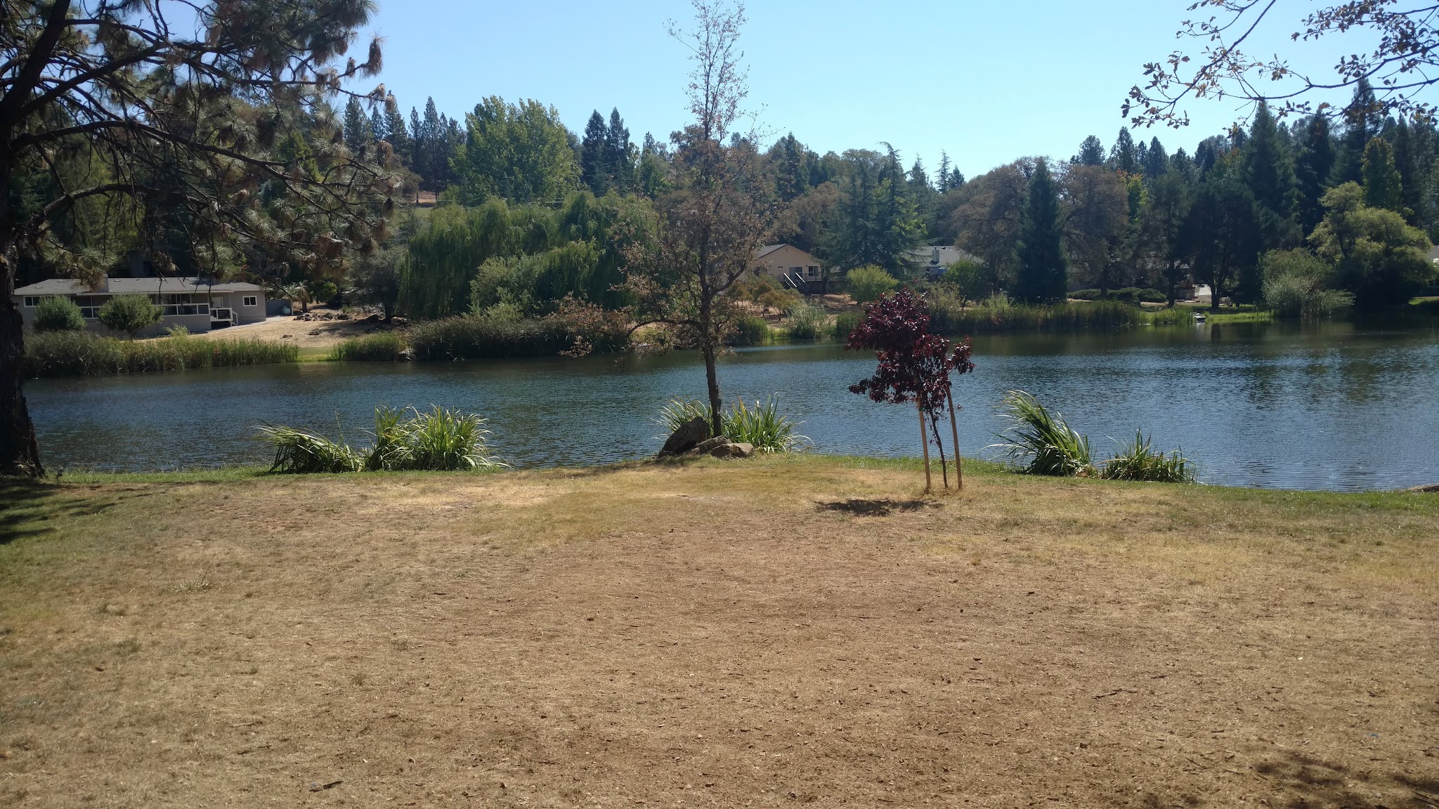 LOP Dog Park - Private to LOP Residents - Auburn, CA