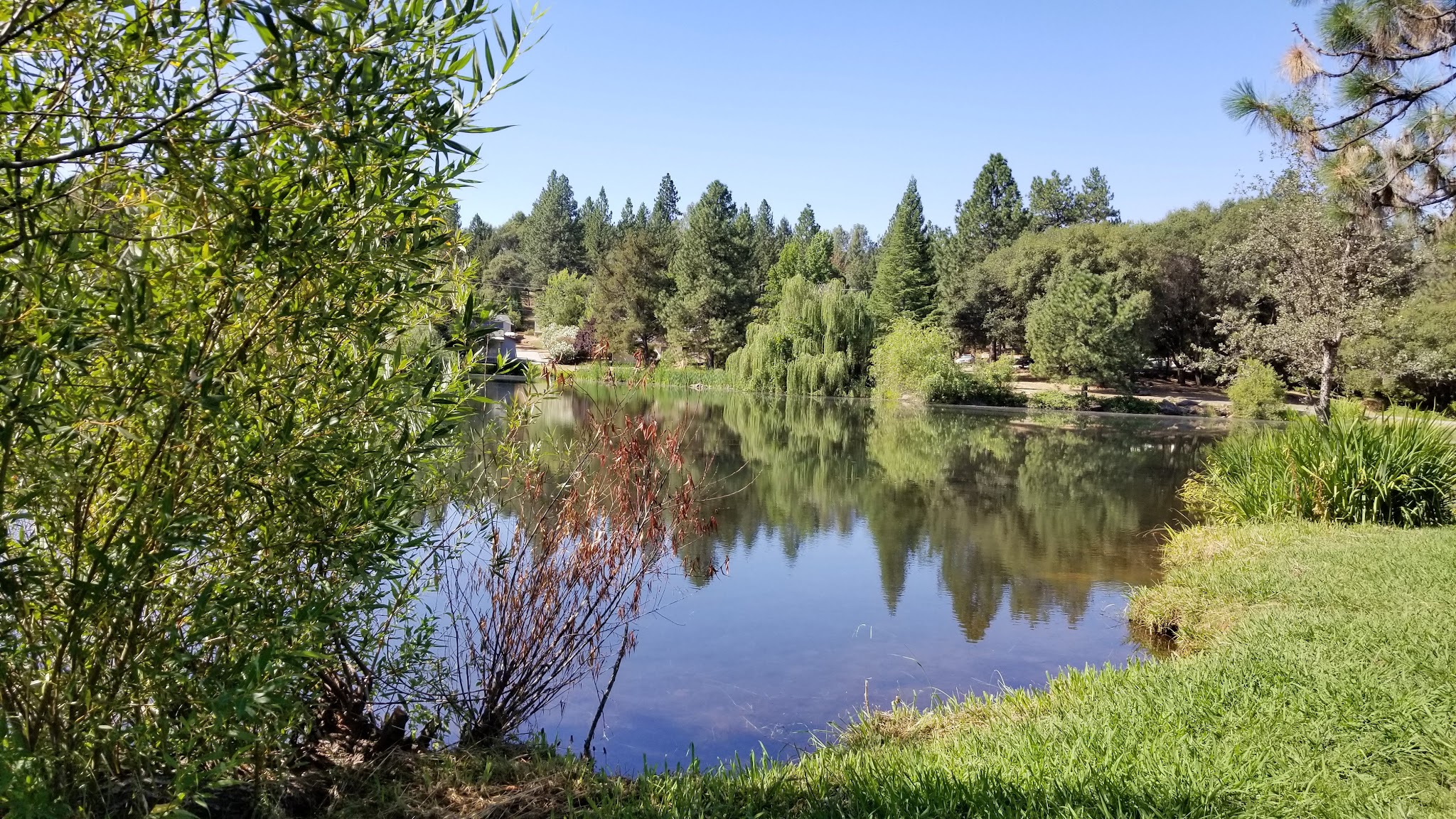 LOP Dog Park - Private to LOP Residents - Auburn, CA