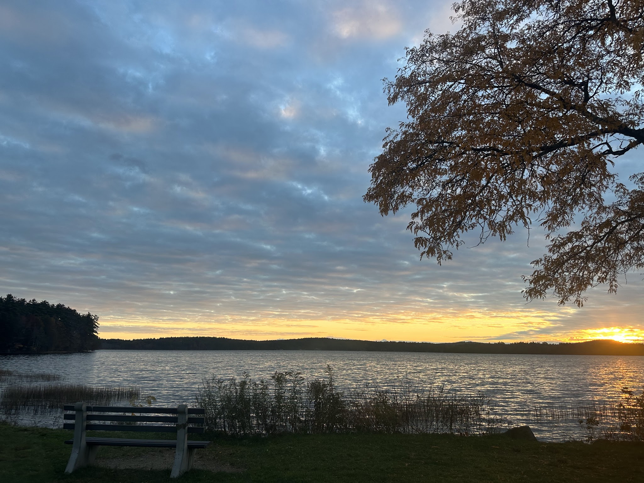 Front Park - Auburn, NH