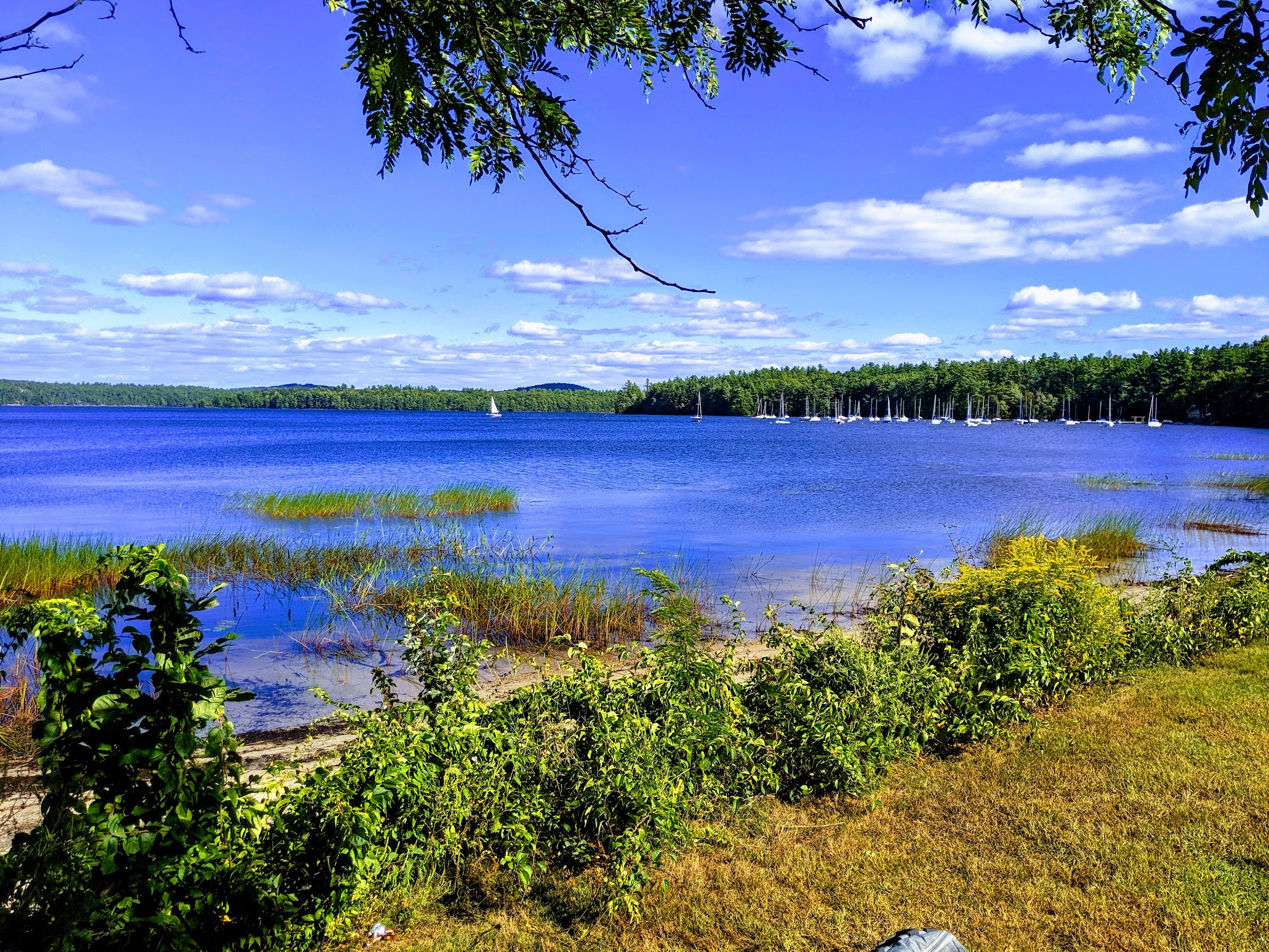 Front Park - Auburn, NH