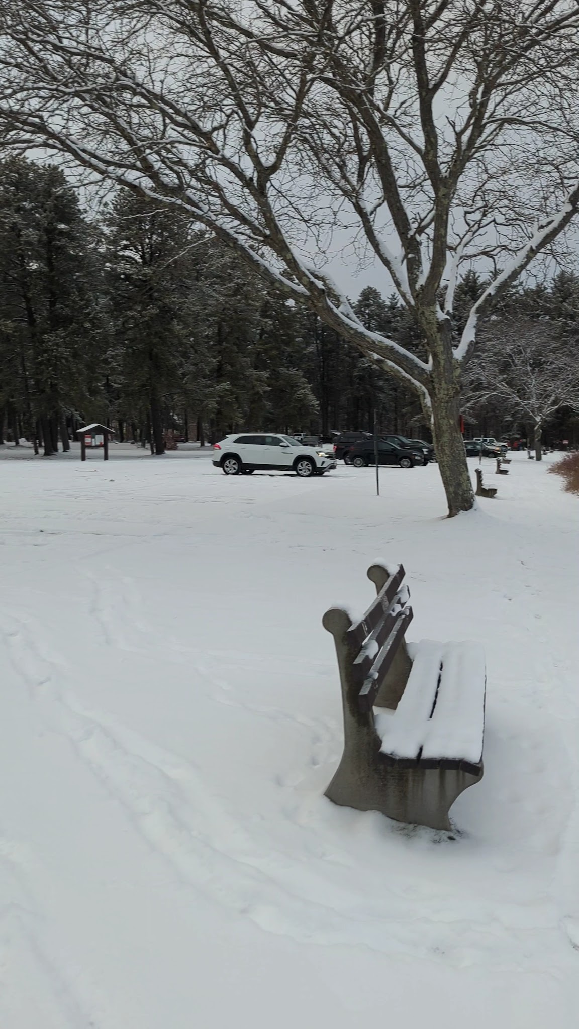 Front Park - Auburn, NH