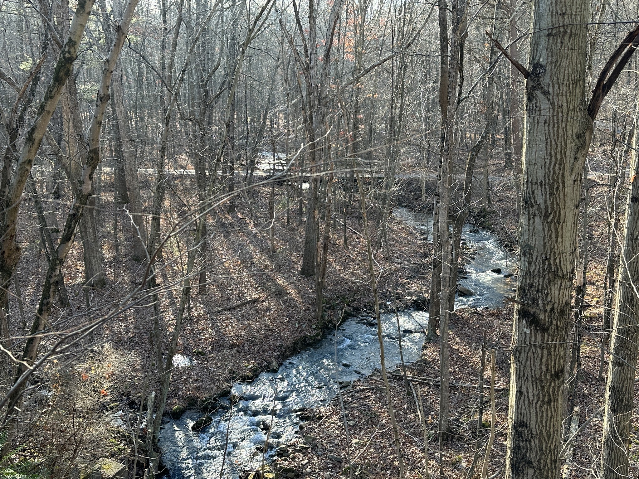 Stony Creek Trail Access - Auburn, PA